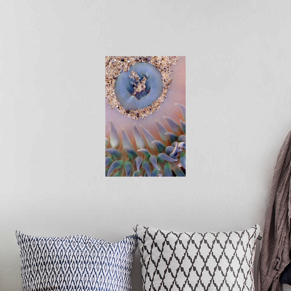 A bohemian room featuring This vertical wall hanging is a nature close up of a sea anemone in this photograph.
