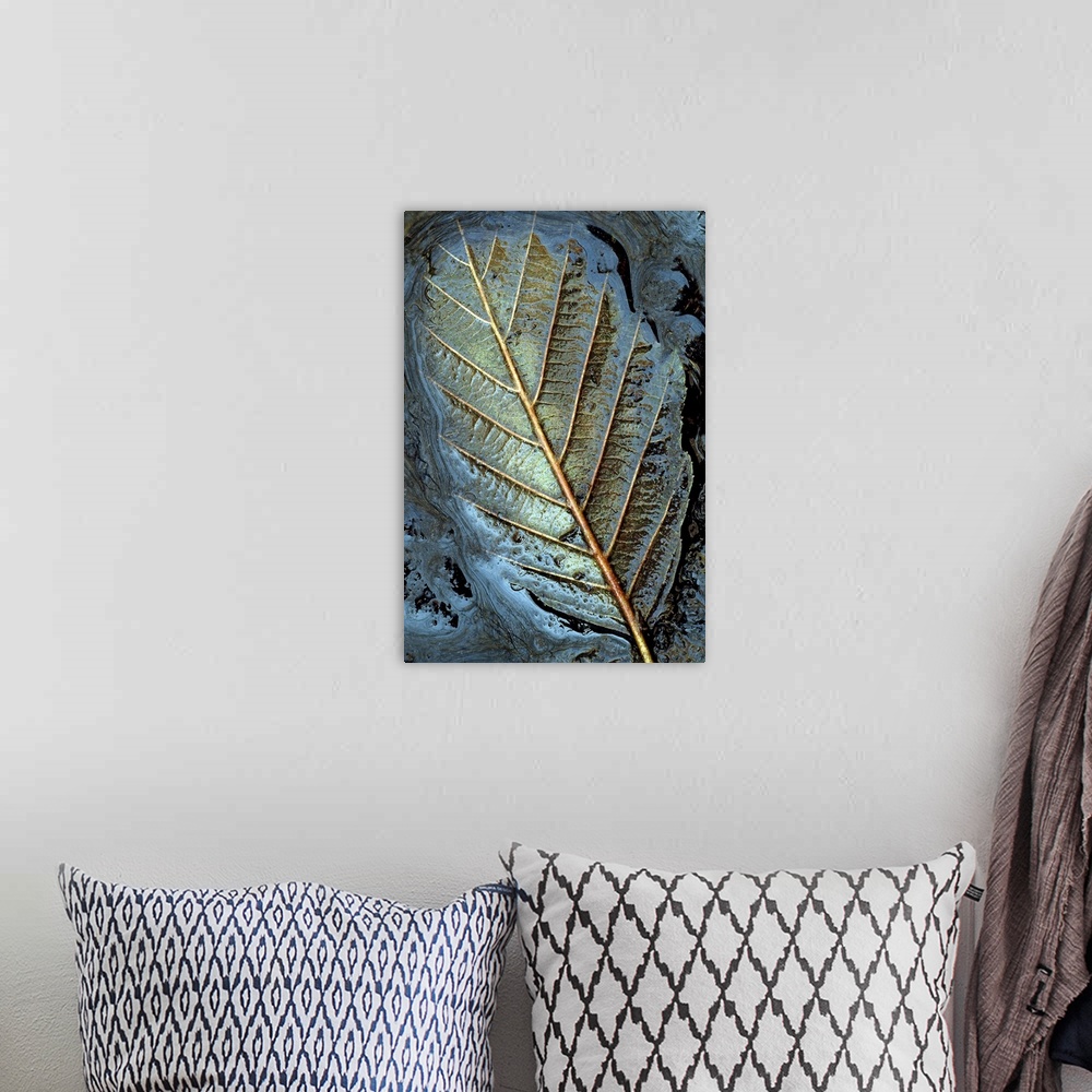 A bohemian room featuring A close up nature photograph that has taken on some abstract qualities; a leaf is submerged in mu...