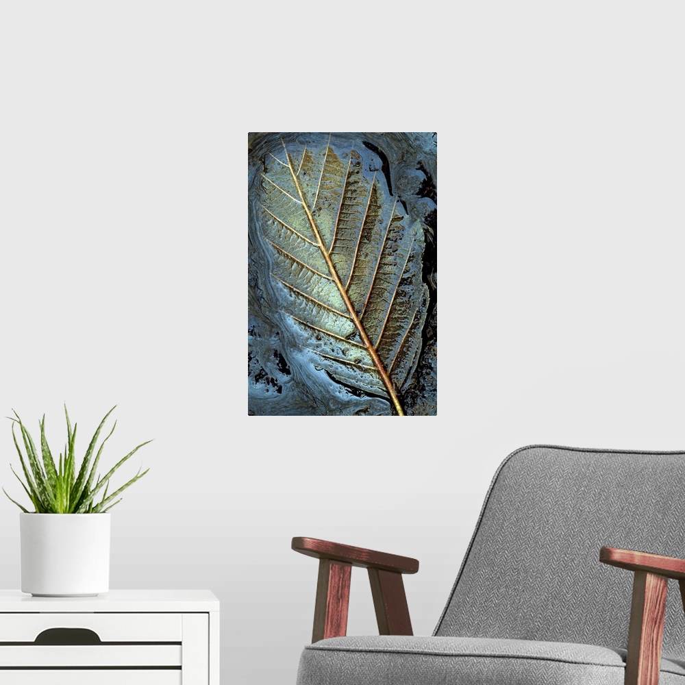 A modern room featuring A close up nature photograph that has taken on some abstract qualities; a leaf is submerged in mu...