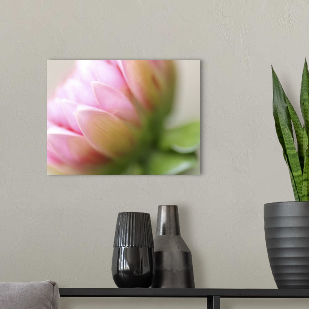 A modern room featuring Up-close photograph of slightly blurred flower blossom.
