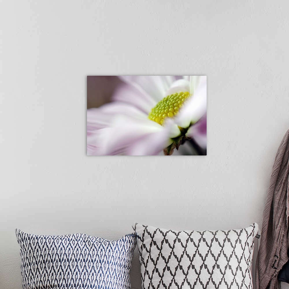 A bohemian room featuring Large photo print of an up close flower showing the petals, stem and center.