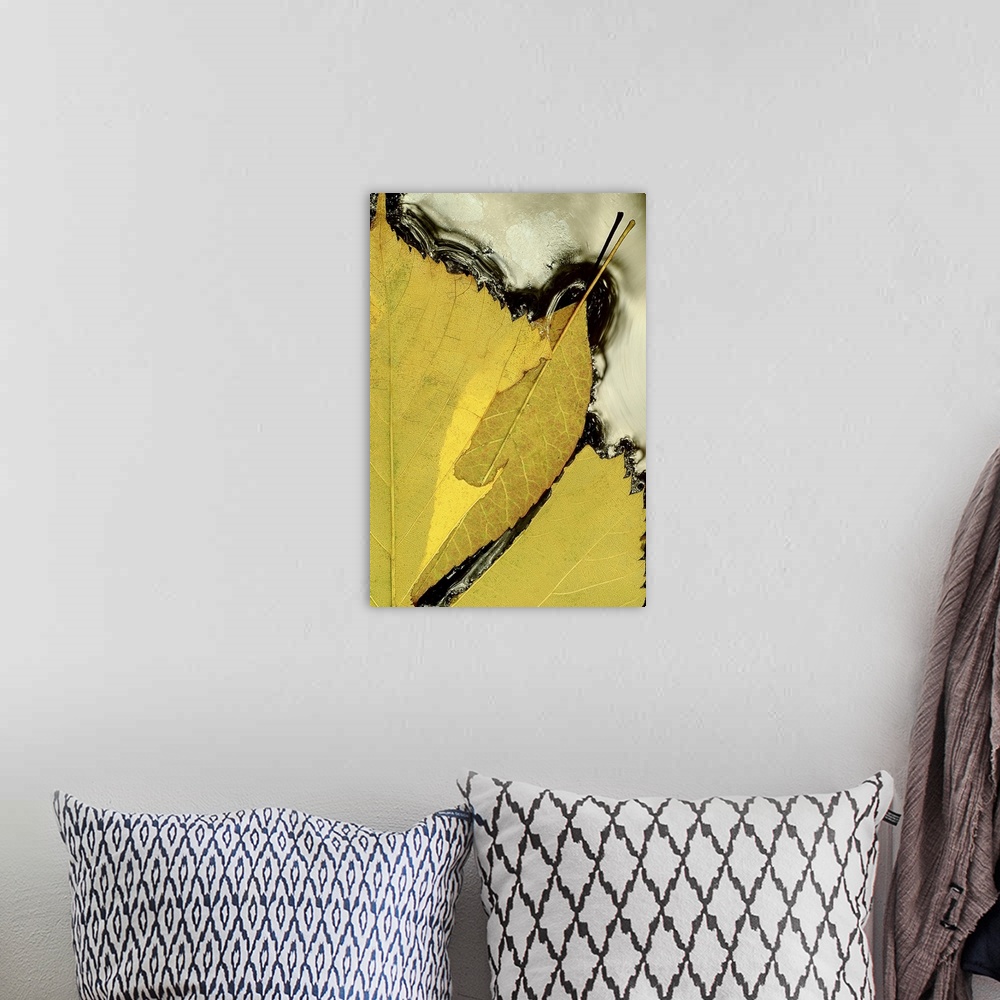 A bohemian room featuring Tall canvas print of the up close of half a leaf floating in water.