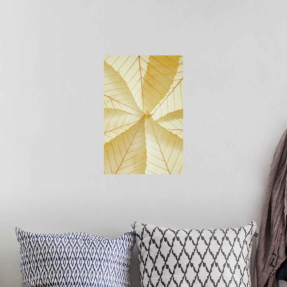 A bohemian room featuring Yellow leaves that are photographed closely and illuminated so they appear see through.