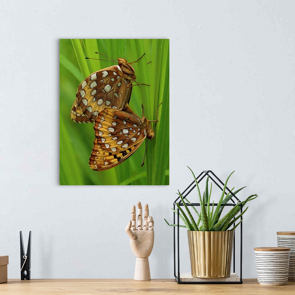A bohemian room featuring Close-up photograph of two butterfly's clinging to vibrant green grass.