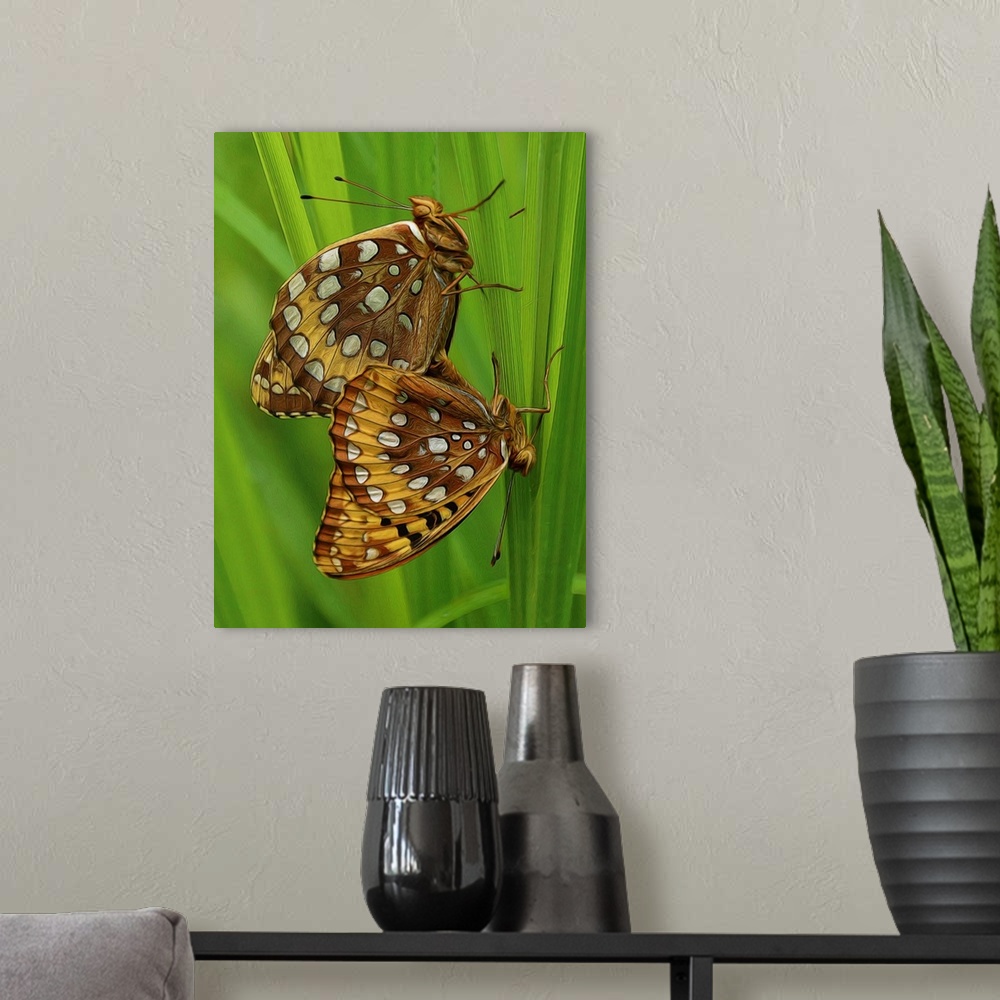 A modern room featuring Close-up photograph of two butterfly's clinging to vibrant green grass.