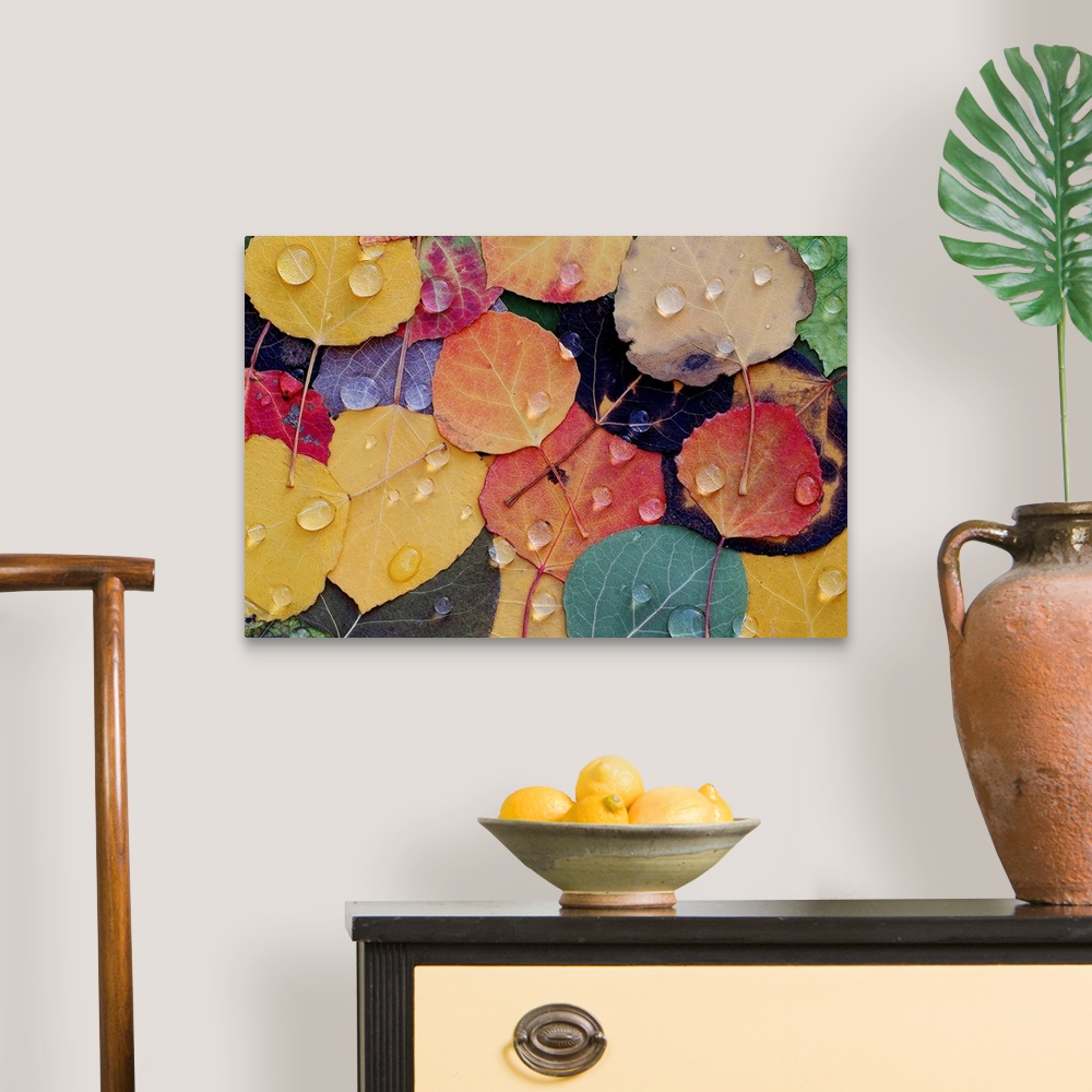A traditional room featuring A huge photograph displaying a colorful assortment of rough leaves wet with rain in the Fall.