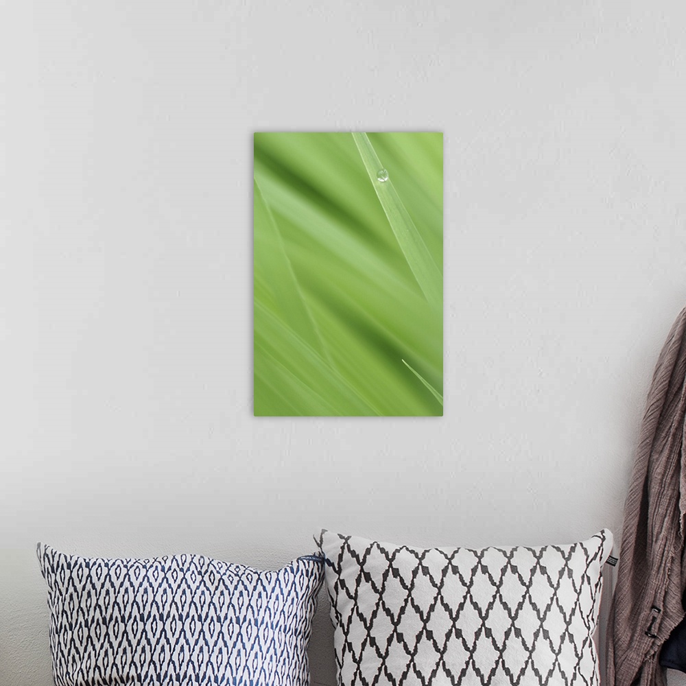A bohemian room featuring Vertical photo print of a bead of water on a blade of grass.