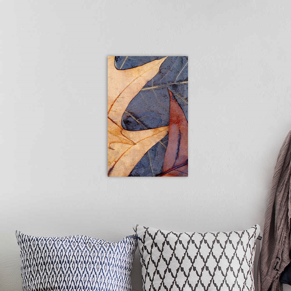A bohemian room featuring Vertical photo on canvas of leaves laying on the water layered on top of each other.