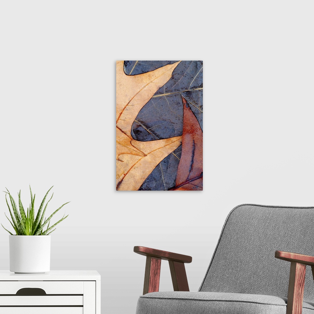 A modern room featuring Vertical photo on canvas of leaves laying on the water layered on top of each other.