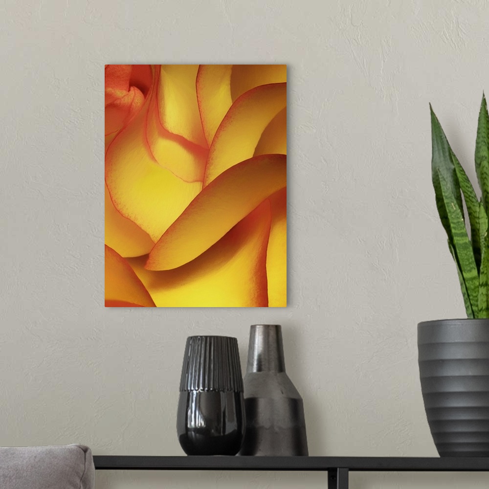 A modern room featuring Portrait, large, close up photograph of the petals on a yellow rose.
