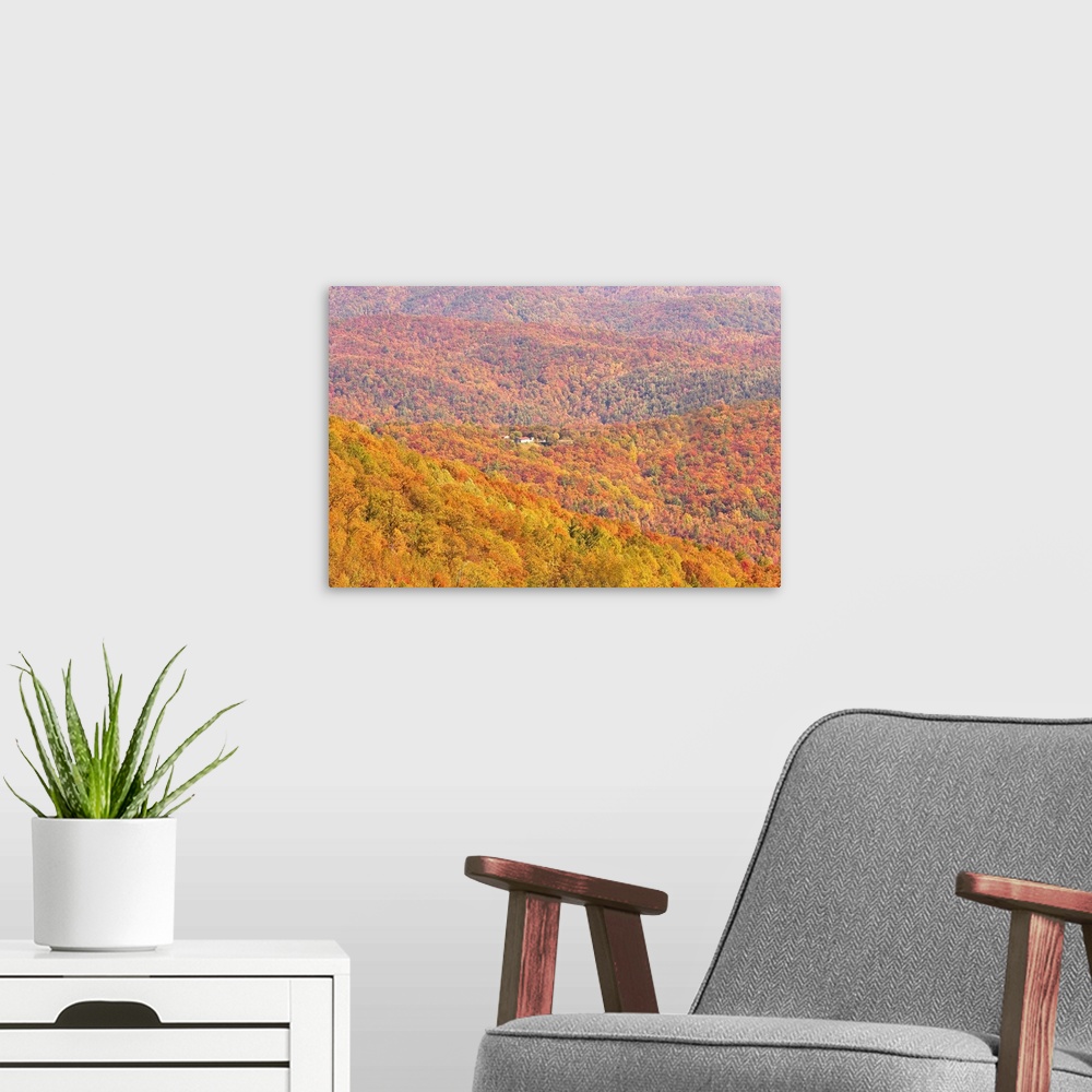 A modern room featuring A home surrounded by colorful fall forests on the Blue Ridge Parkway.