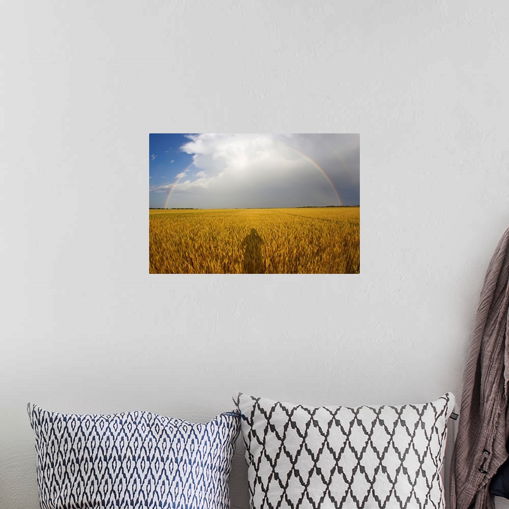 A bohemian room featuring A man's shadow on a wheat field with a rainbow behind a passing storm.