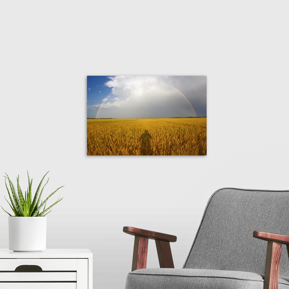A modern room featuring A man's shadow on a wheat field with a rainbow behind a passing storm.