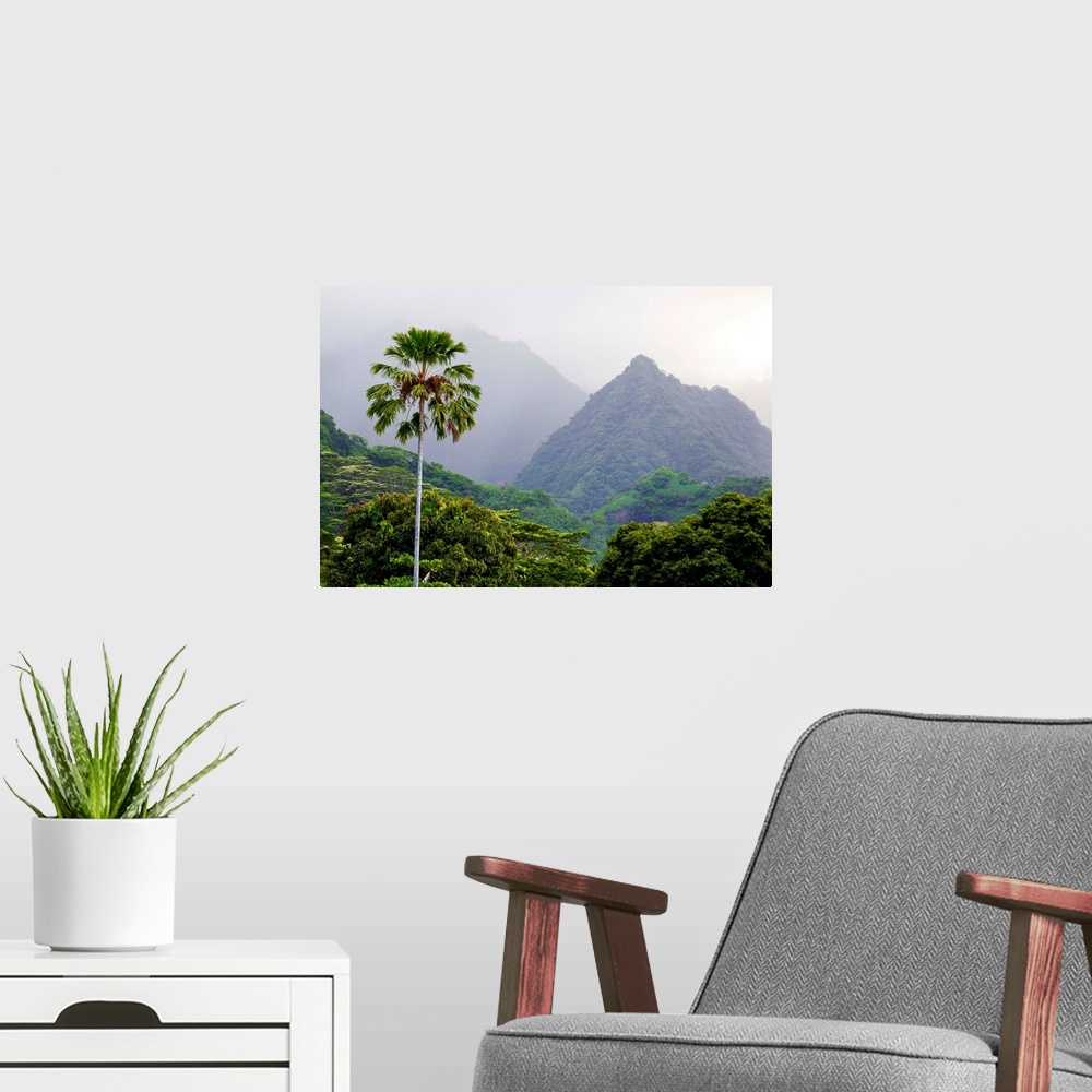 A modern room featuring Palm Trees and Lush vegetation in the Tropical rainforests of Tahiti in the French Polynesian isl...