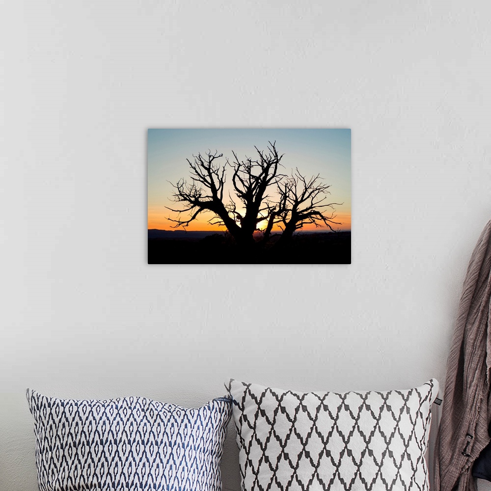 A bohemian room featuring A silhouetted tree at sunset.