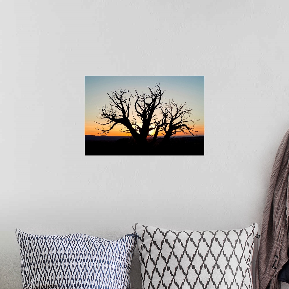 A bohemian room featuring A silhouetted tree at sunset.