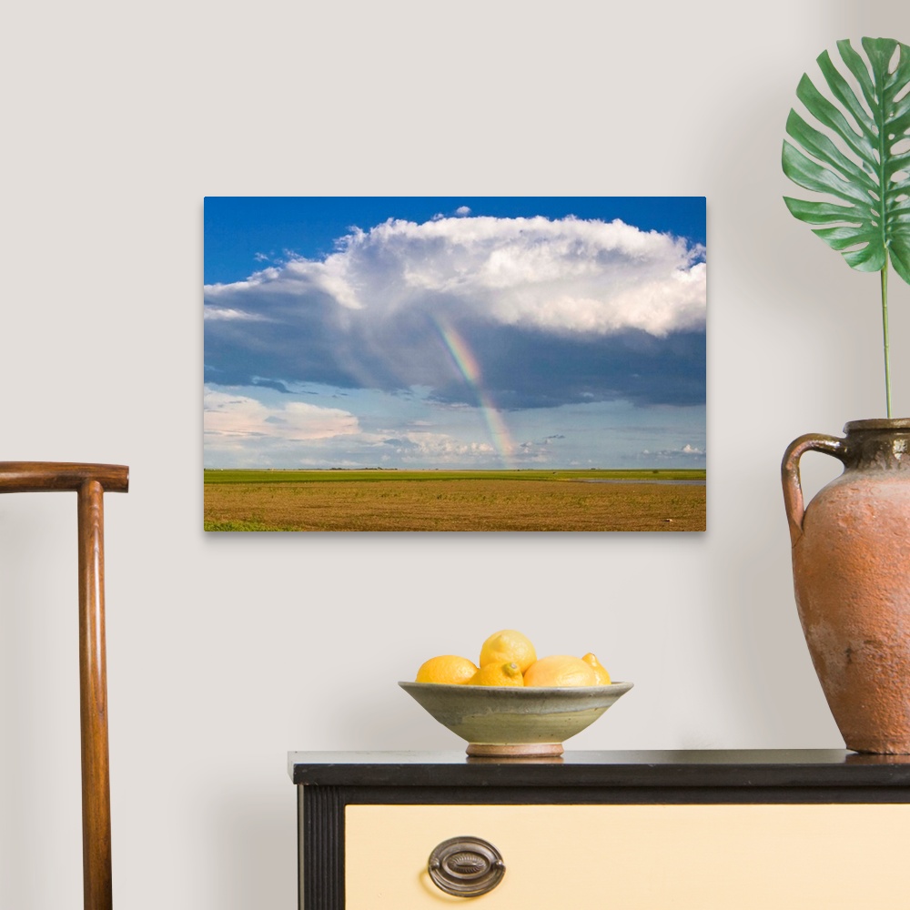 A traditional room featuring A surprise rainbow appears inside a light rain virga shower.