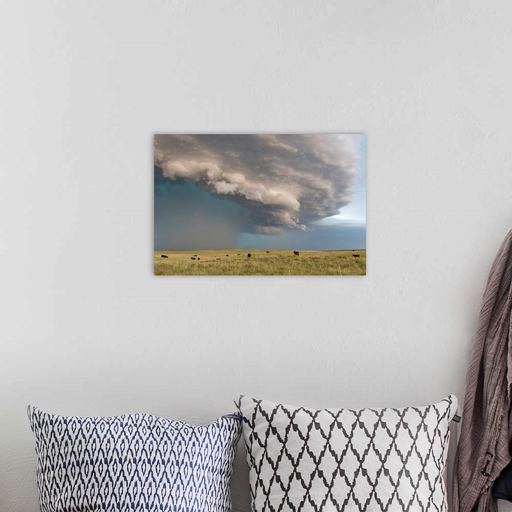 A bohemian room featuring From the National Geographic Collection.  Photograph of dark storm clouds swirling over a field o...
