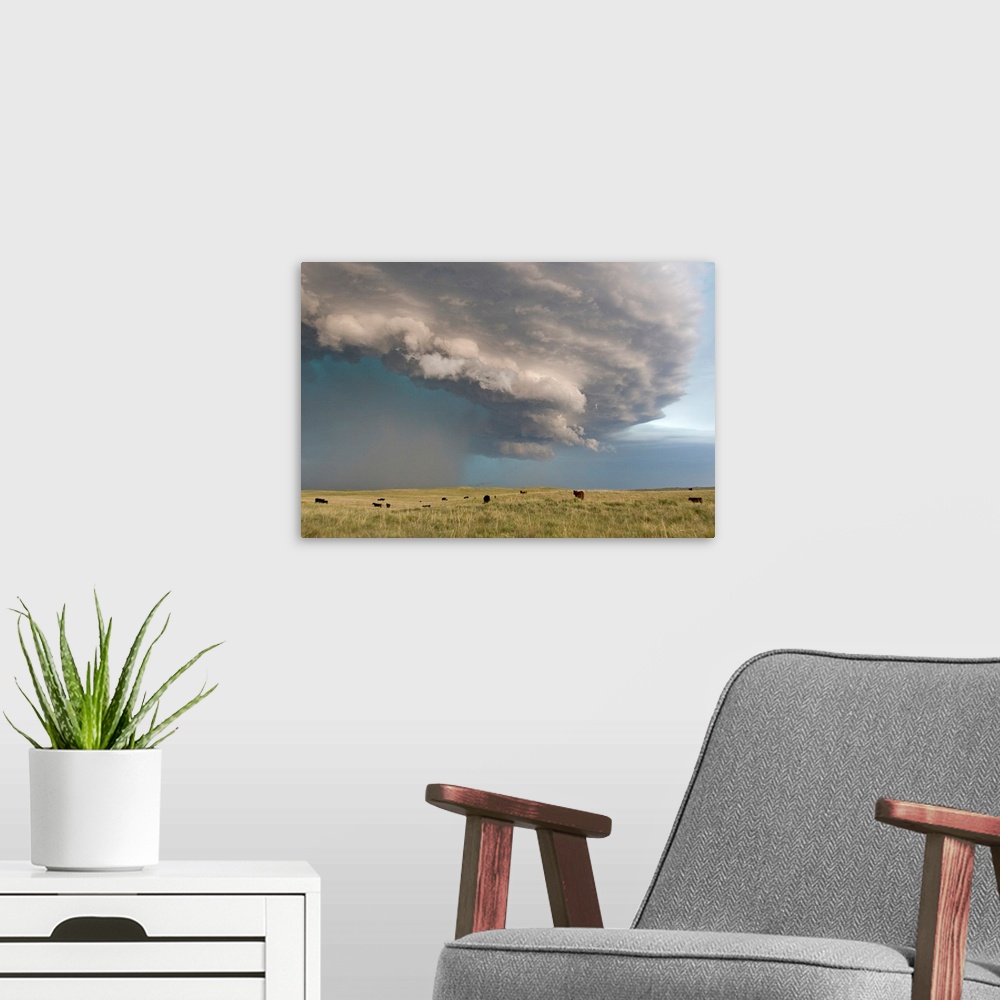 A modern room featuring From the National Geographic Collection.  Photograph of dark storm clouds swirling over a field o...