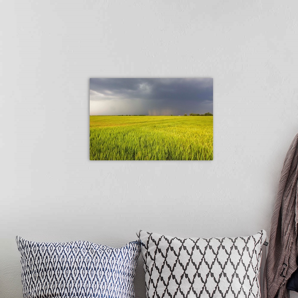 A bohemian room featuring A thunderstorm with dark clouds rolls over a sunlit wheat field.