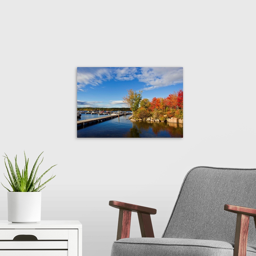 A modern room featuring Brilliantly colored trees on a lake shore during autumn.