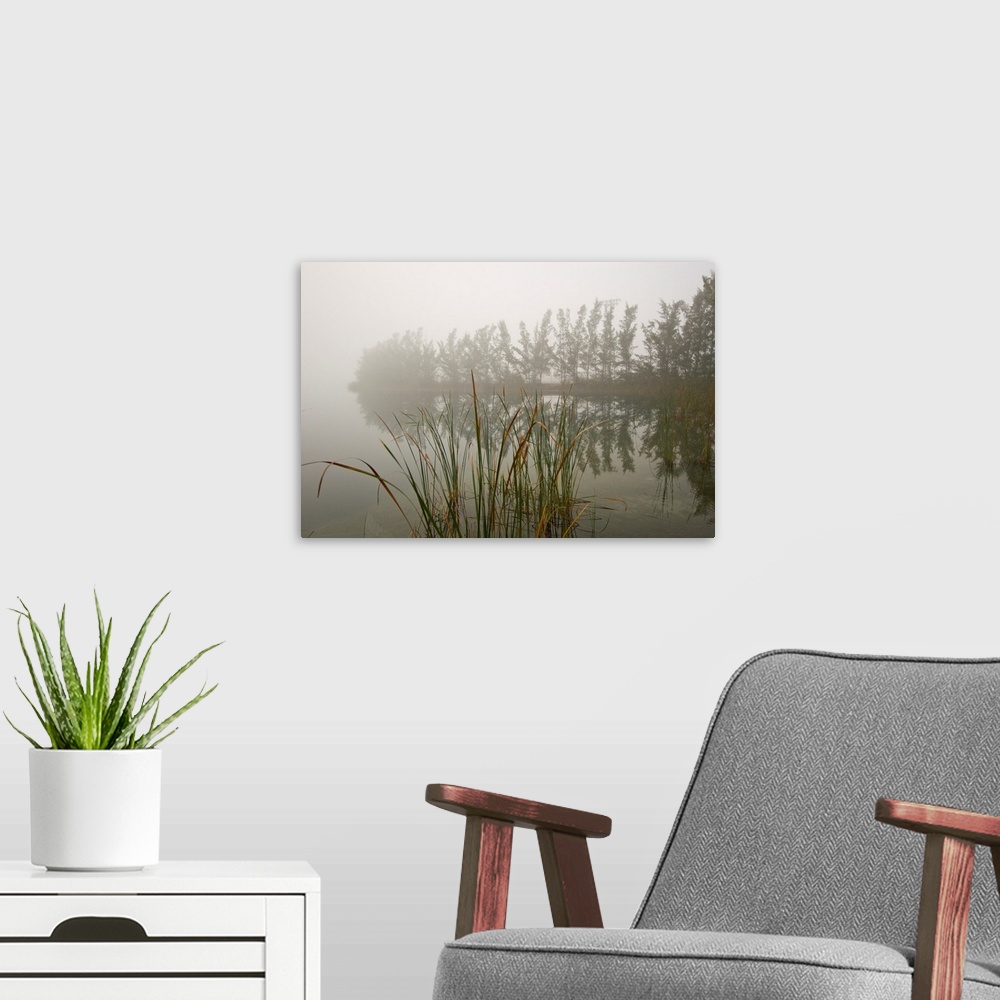 A modern room featuring A foggy morning and still winds create a mirror-like image on a lake.