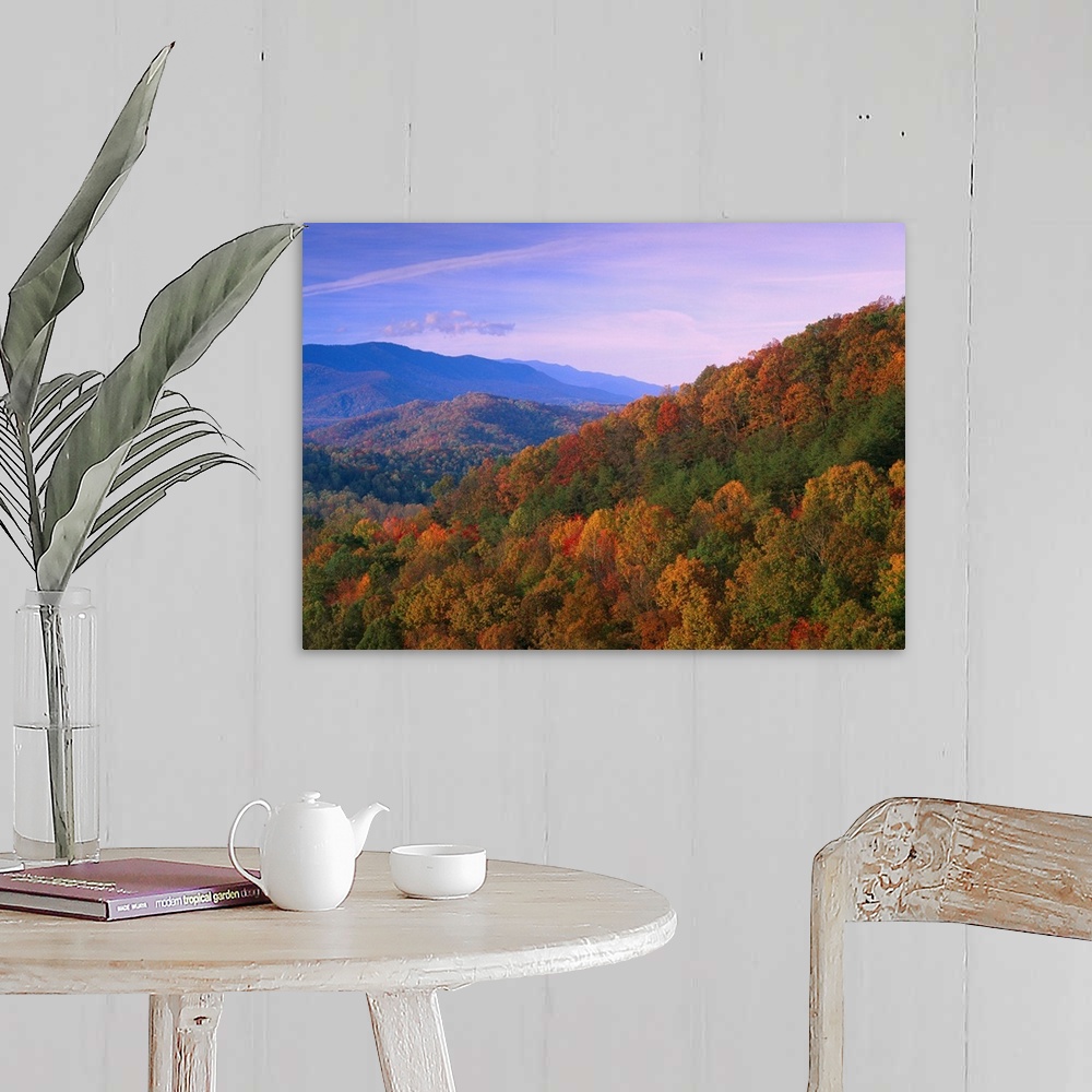 A farmhouse room featuring Appalachian Mountains ablaze with fall color, Great Smoky Mountains National Park