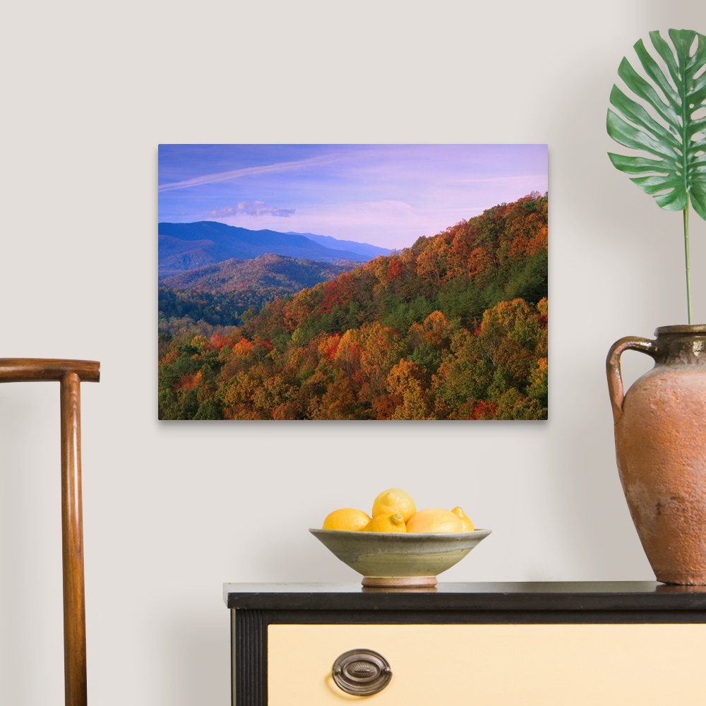 A traditional room featuring Appalachian Mountains ablaze with fall color, Great Smoky Mountains National Park