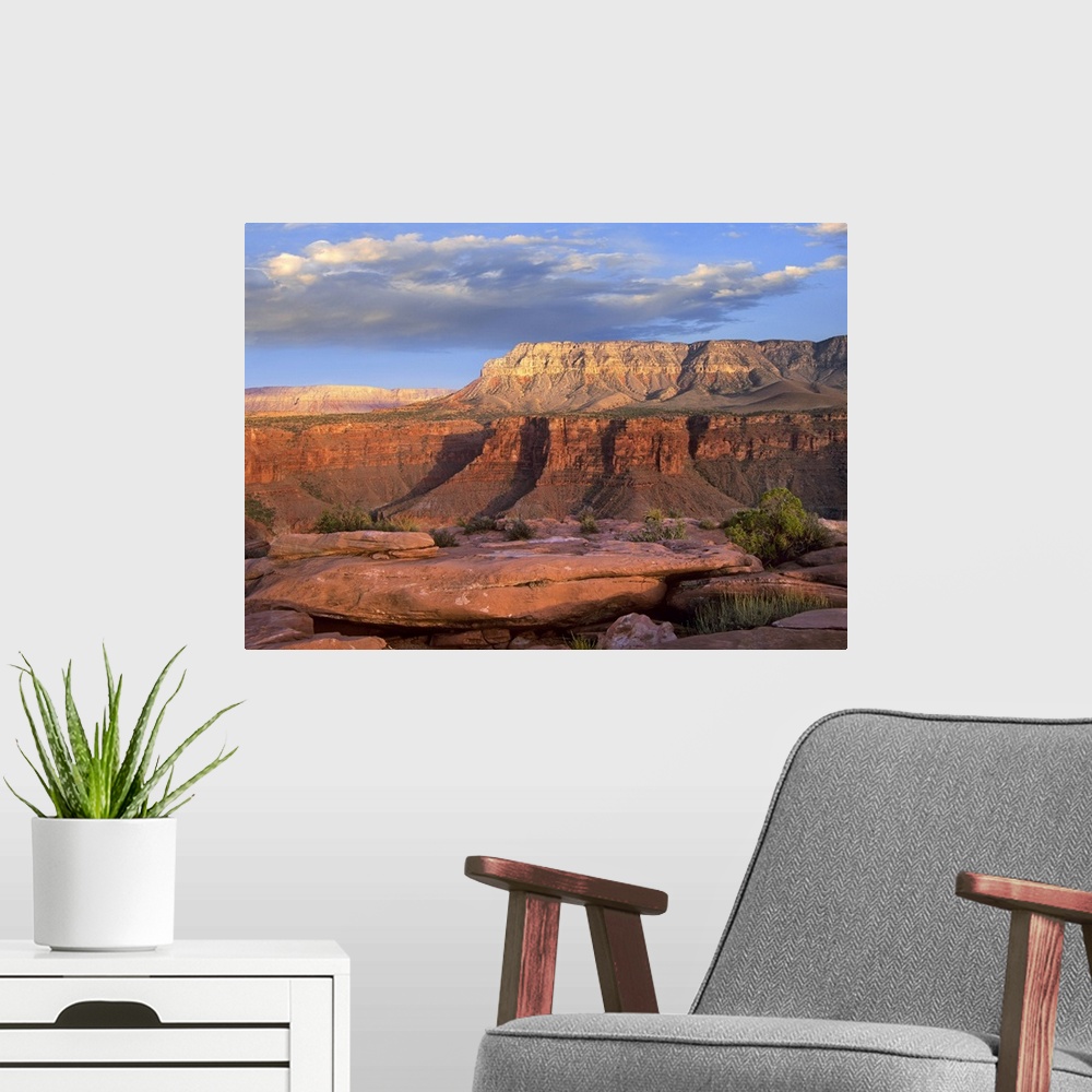 A modern room featuring Big landscape photograph of Aubrey Cliffs in the sunlight, beneath a cloudy blue sky, taken from ...