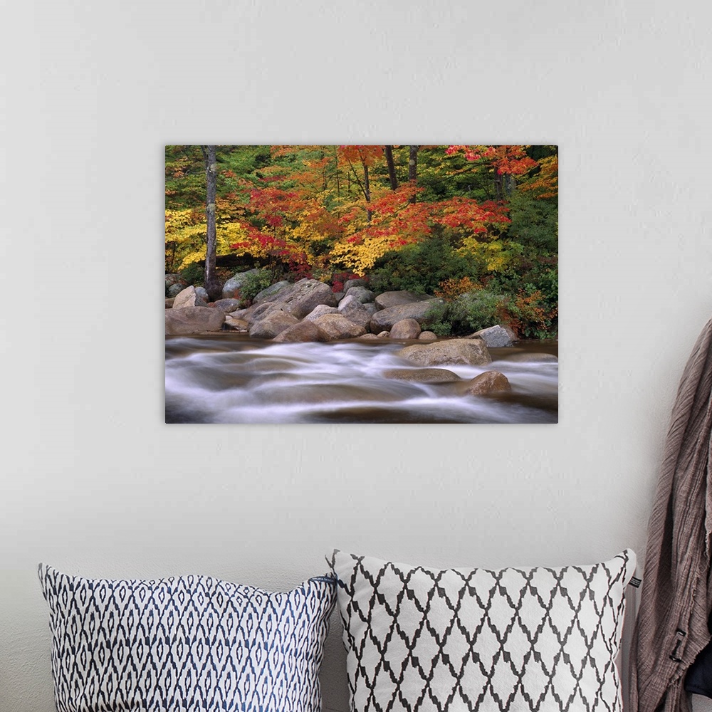 A bohemian room featuring Photograph of rocky stream lined with large rock boulders and forest covered in bright fall foliage.