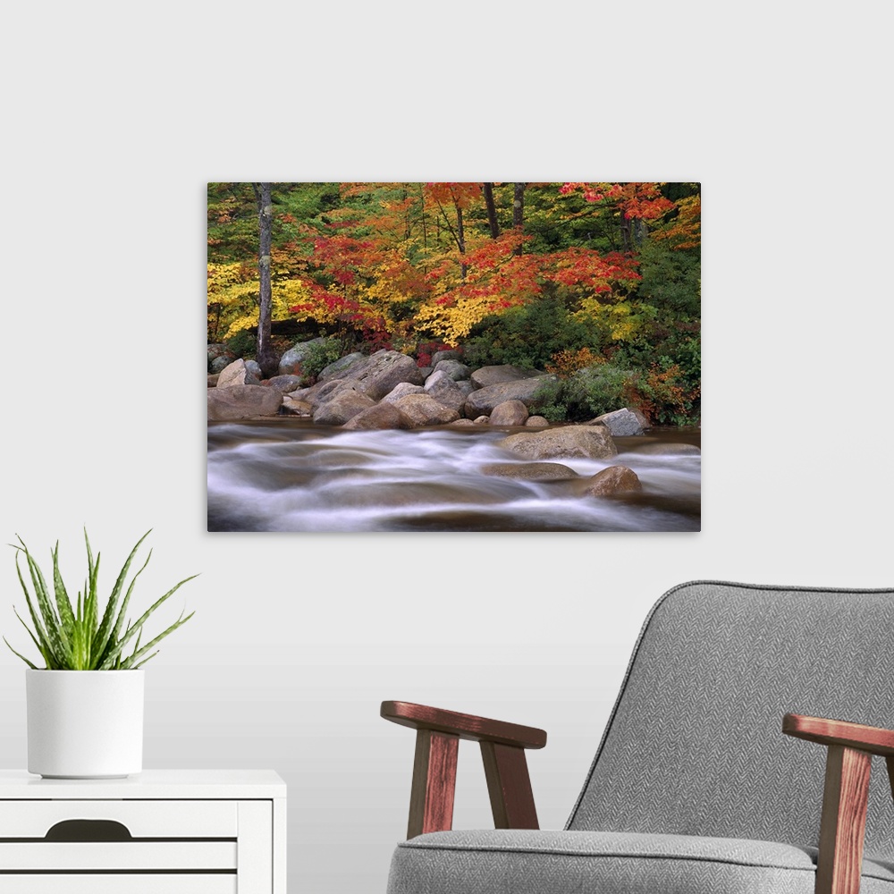 A modern room featuring Photograph of rocky stream lined with large rock boulders and forest covered in bright fall foliage.