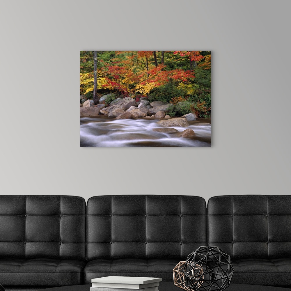A modern room featuring Photograph of rocky stream lined with large rock boulders and forest covered in bright fall foliage.