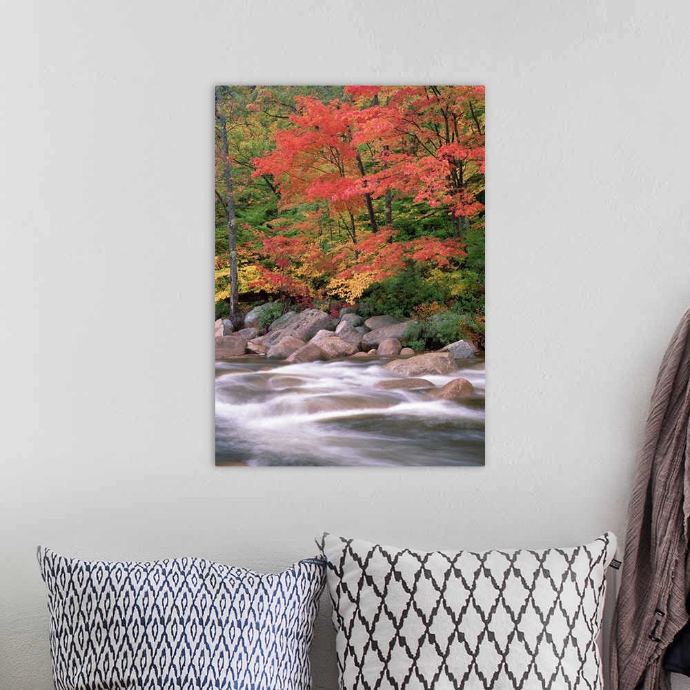 A bohemian room featuring Autumn along Swift River, White Mountains National Forest, New Hampshire