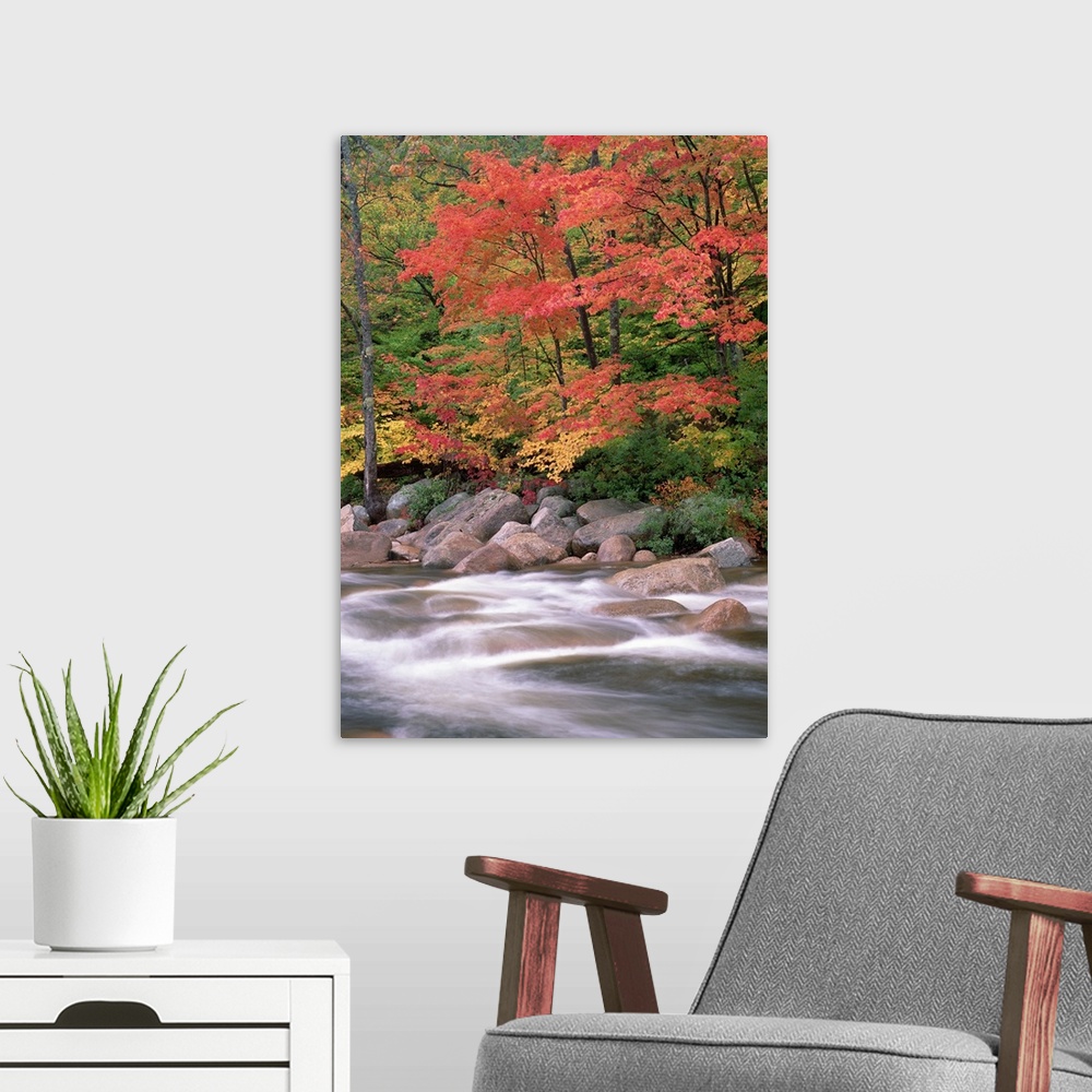 A modern room featuring Autumn along Swift River, White Mountains National Forest, New Hampshire