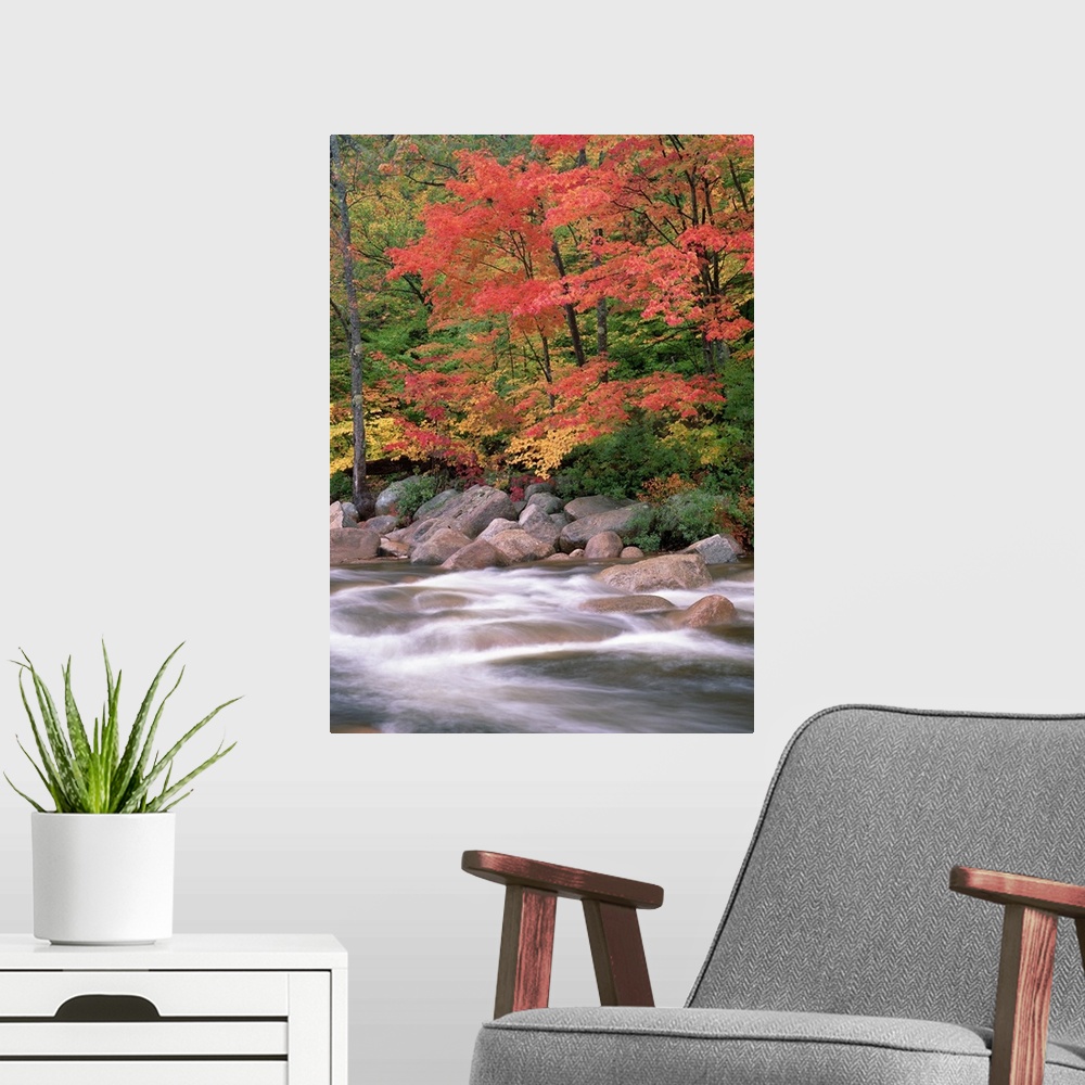 A modern room featuring Autumn along Swift River, White Mountains National Forest, New Hampshire