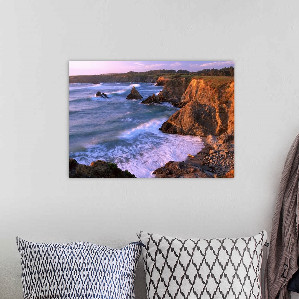 A bohemian room featuring Beach at Jughandle State Reserve, Mendocino County, California