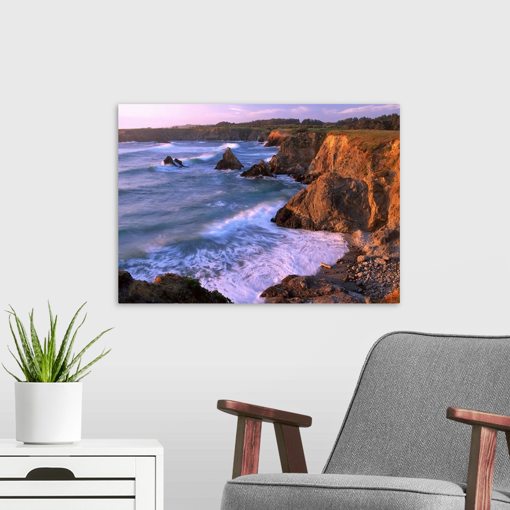 A modern room featuring Beach at Jughandle State Reserve, Mendocino County, California