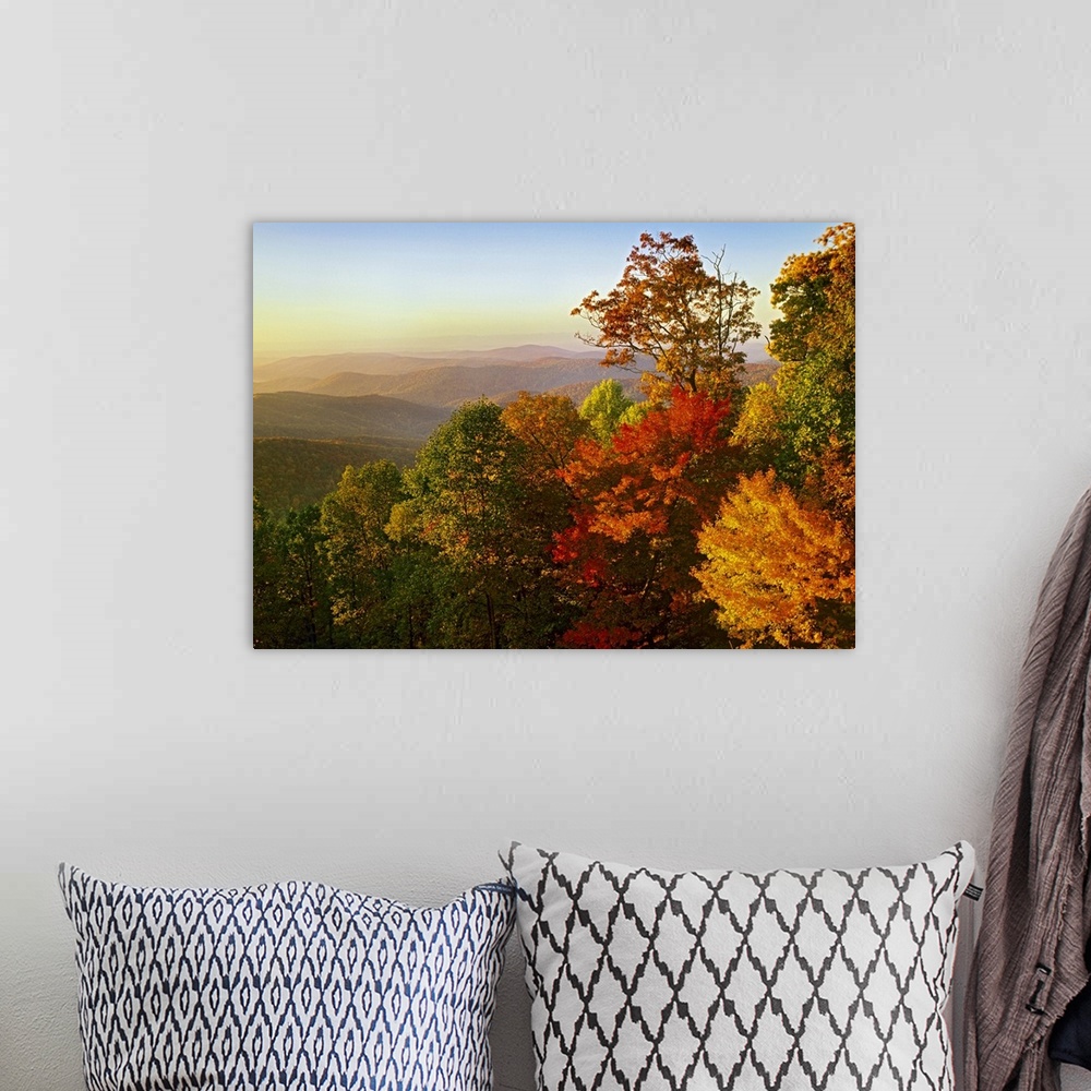 A bohemian room featuring Nature photo looking out over the rolling hills of the Blue Ridge Mountain with all the leaves tu...