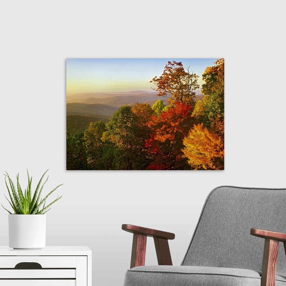 A modern room featuring Nature photo looking out over the rolling hills of the Blue Ridge Mountain with all the leaves tu...