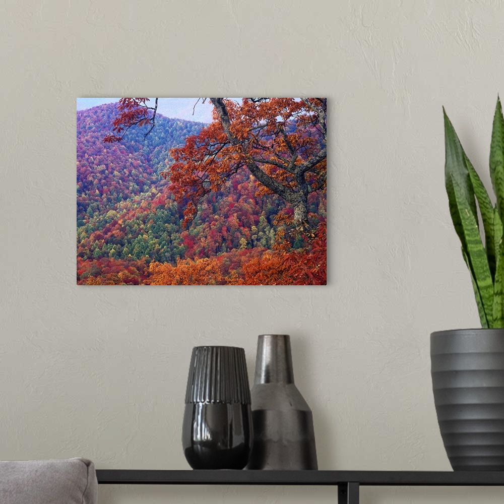 A modern room featuring Blue Ridge Range with autumn deciduous forest, near Buck Creek Gap, North Carolina