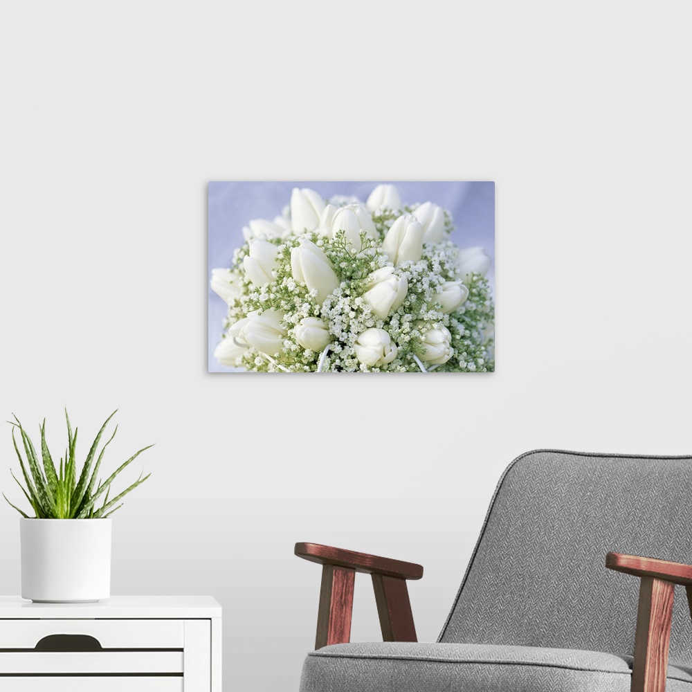 A modern room featuring Close up picture of a bouquet of closed white tulips and baby's' breath.