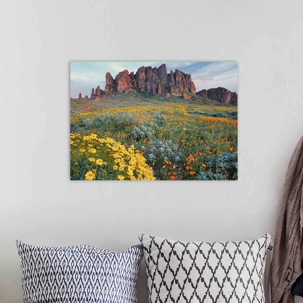 A bohemian room featuring Large horizontal photograph of a vast field of California Brittlebush and other wildflowers, surr...