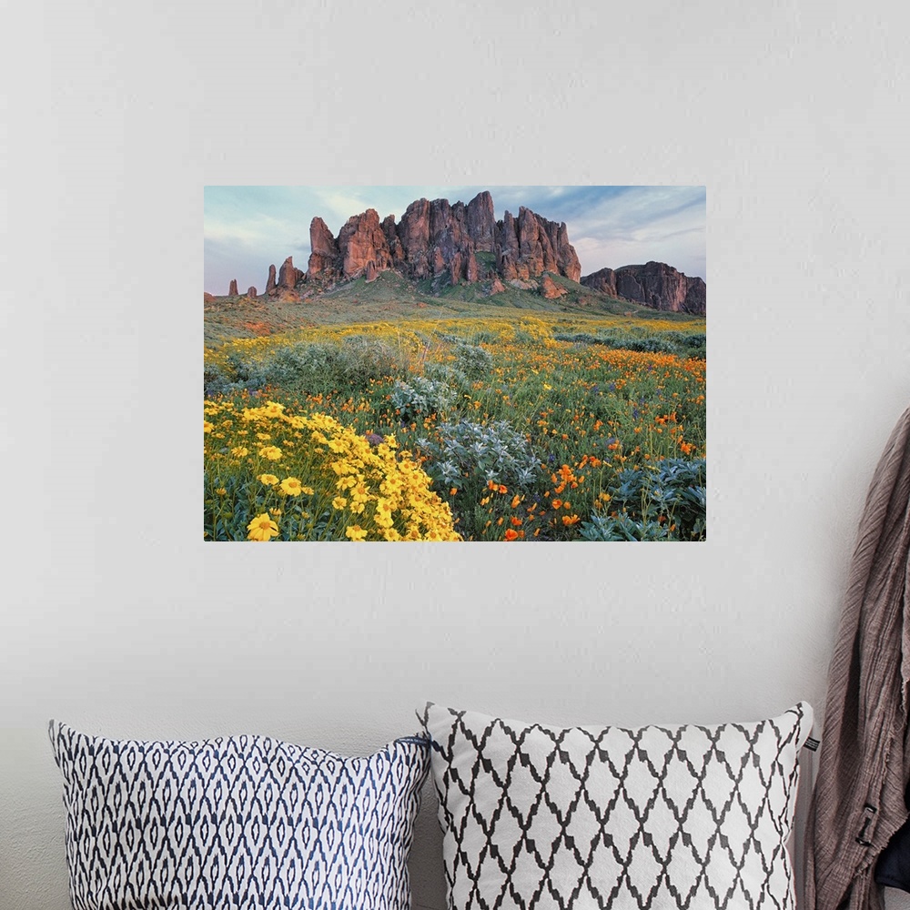 A bohemian room featuring Large horizontal photograph of a vast field of California Brittlebush and other wildflowers, surr...
