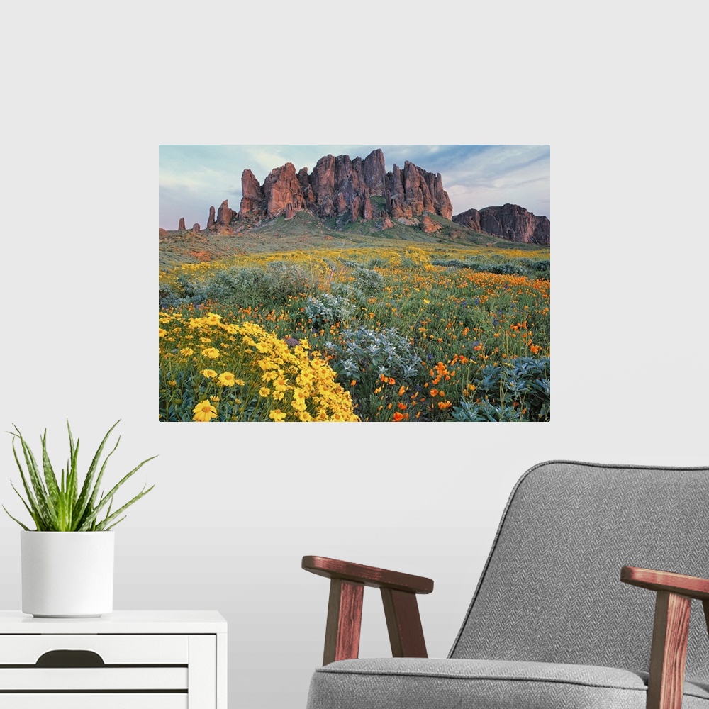 A modern room featuring Large horizontal photograph of a vast field of California Brittlebush and other wildflowers, surr...