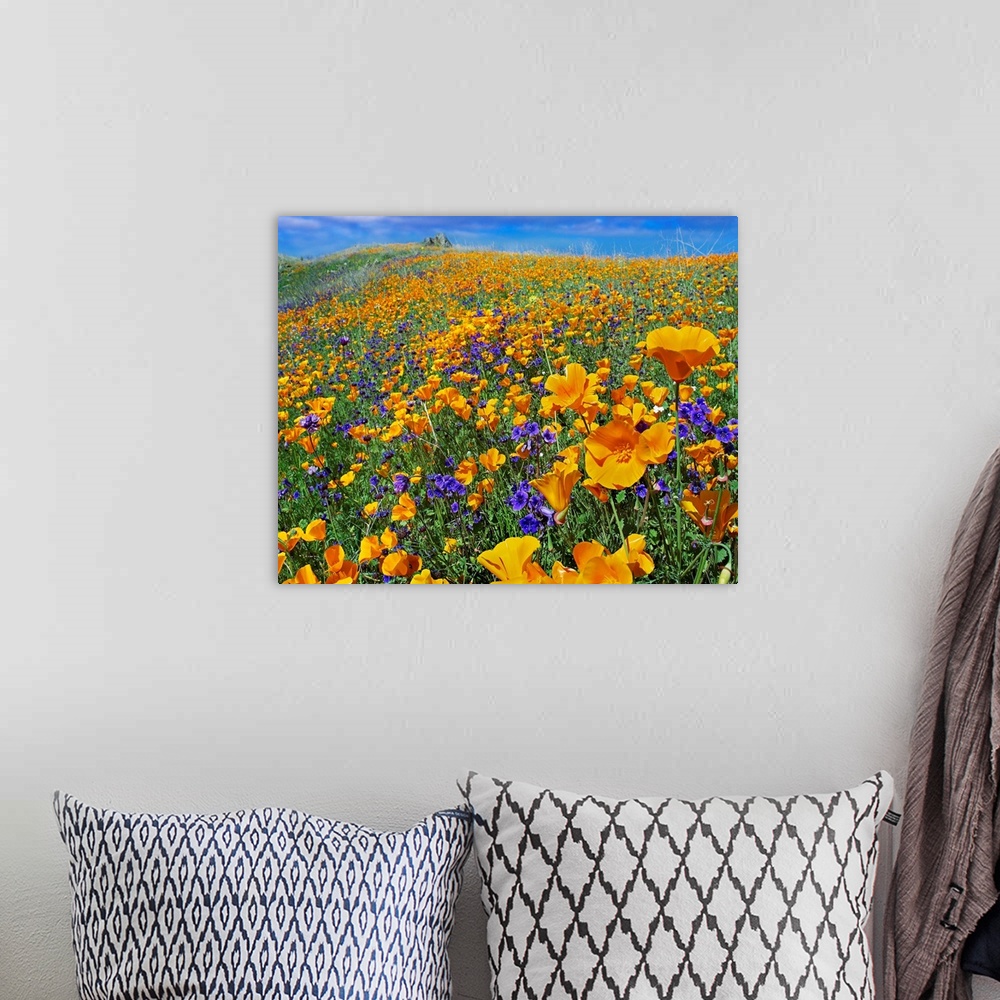 A bohemian room featuring Photograph of hilly flower meadow on a cloudy day.