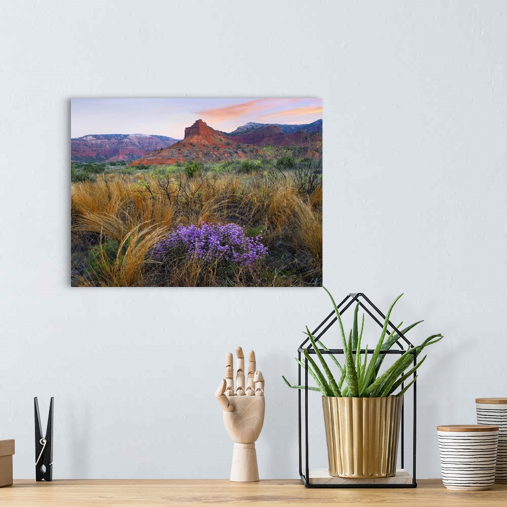 A bohemian room featuring Horizontal photograph on a big canvas of wildflowers and tall grasses in front of large rock form...