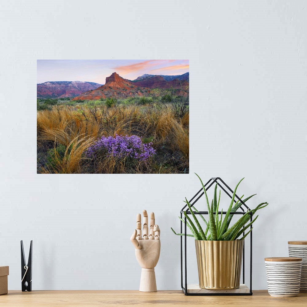 A bohemian room featuring Horizontal photograph on a big canvas of wildflowers and tall grasses in front of large rock form...