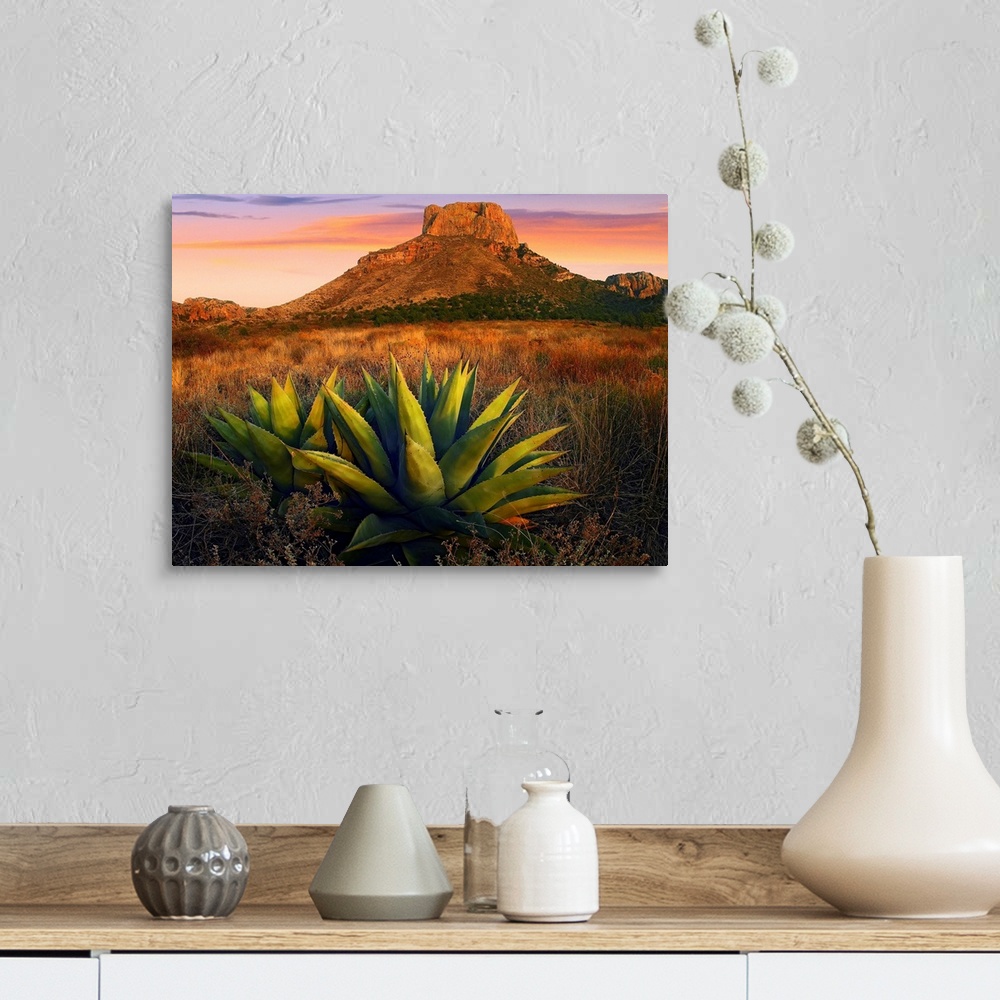A farmhouse room featuring Horizontal, large photograph of Agave plants in a large field, Casa Grande butte in the backgroun...
