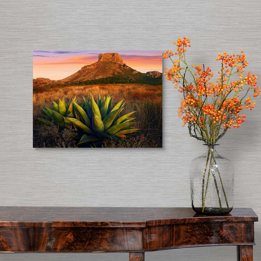 A traditional room featuring Horizontal, large photograph of Agave plants in a large field, Casa Grande butte in the backgroun...