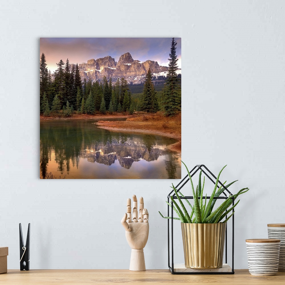 A bohemian room featuring Large photograph shows a small body of water surrounded by a thick woodland filled with tall tree...